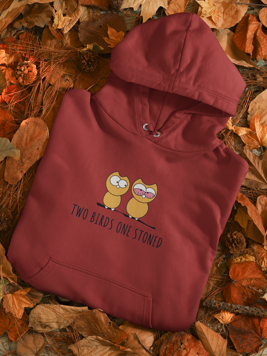 Stoned Bird Men Hoodies-KidsFashionVilla