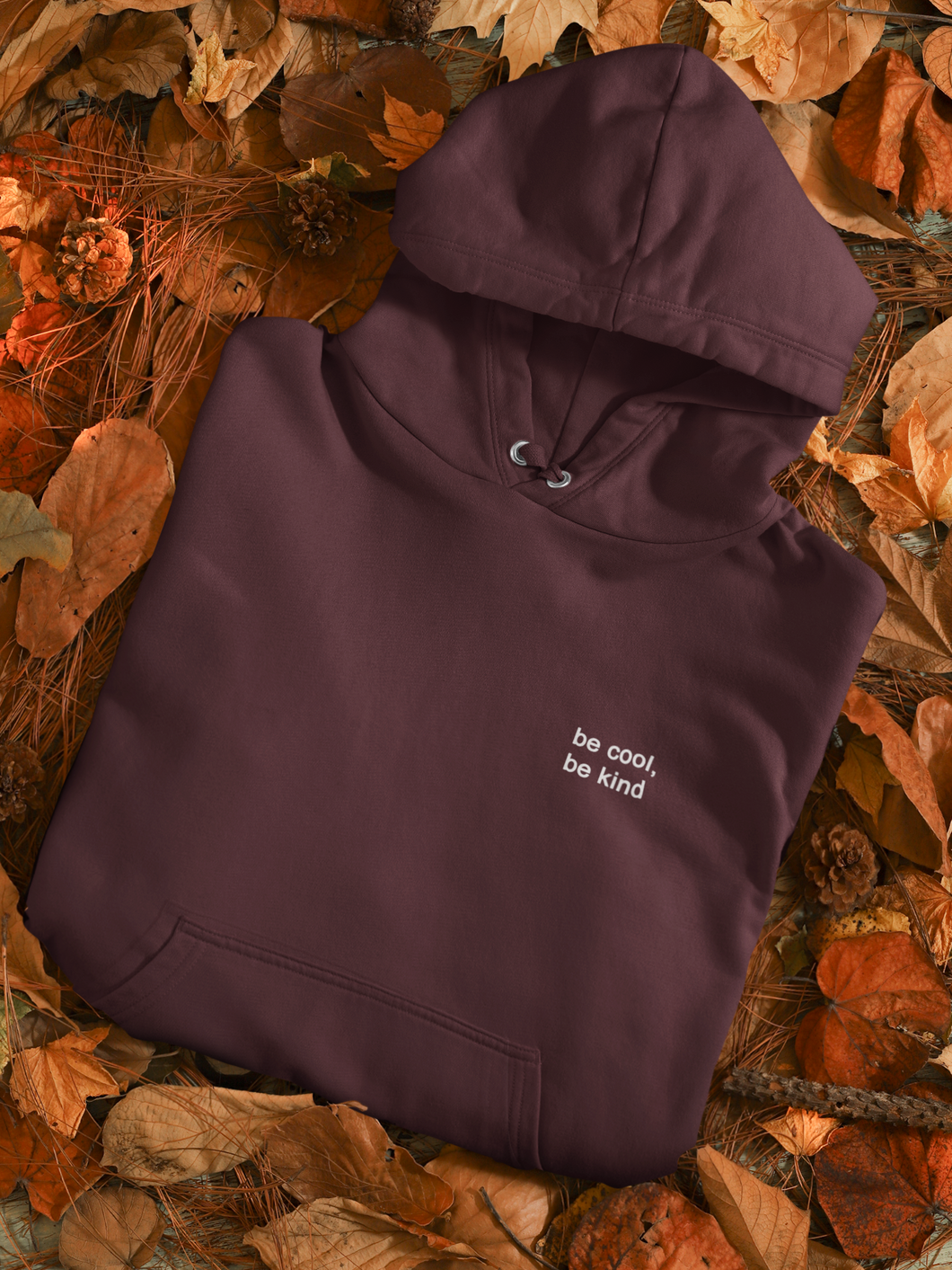 Be Cool Be Kind Men Hoodies-KidsFashionVilla