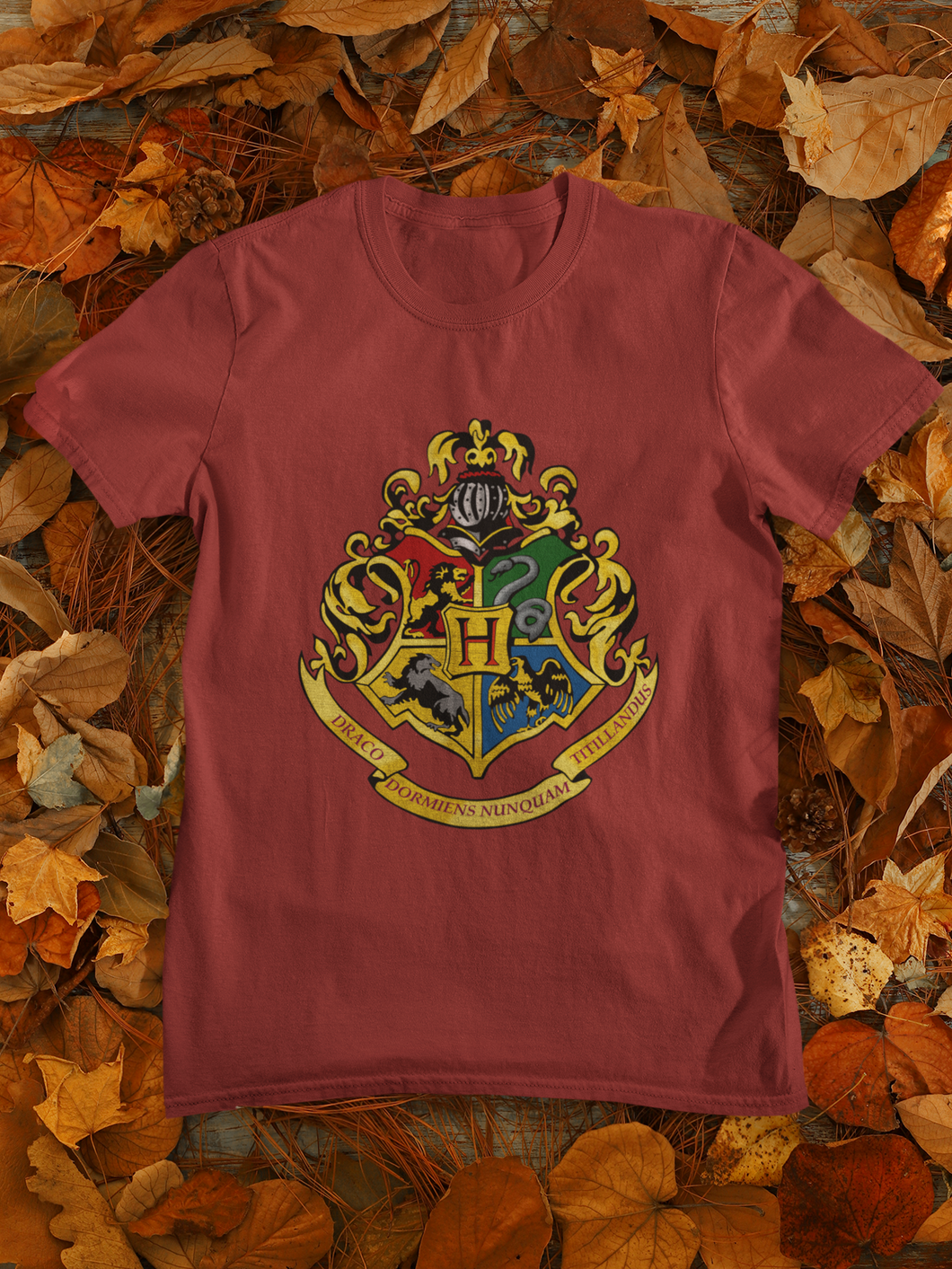 Harry Potter Web Series Mens Half Sleeves T-shirt- KidsFashionVilla