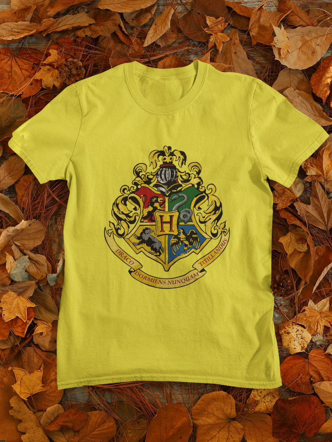 Harry Potter Web Series Mens Half Sleeves T-shirt- KidsFashionVilla