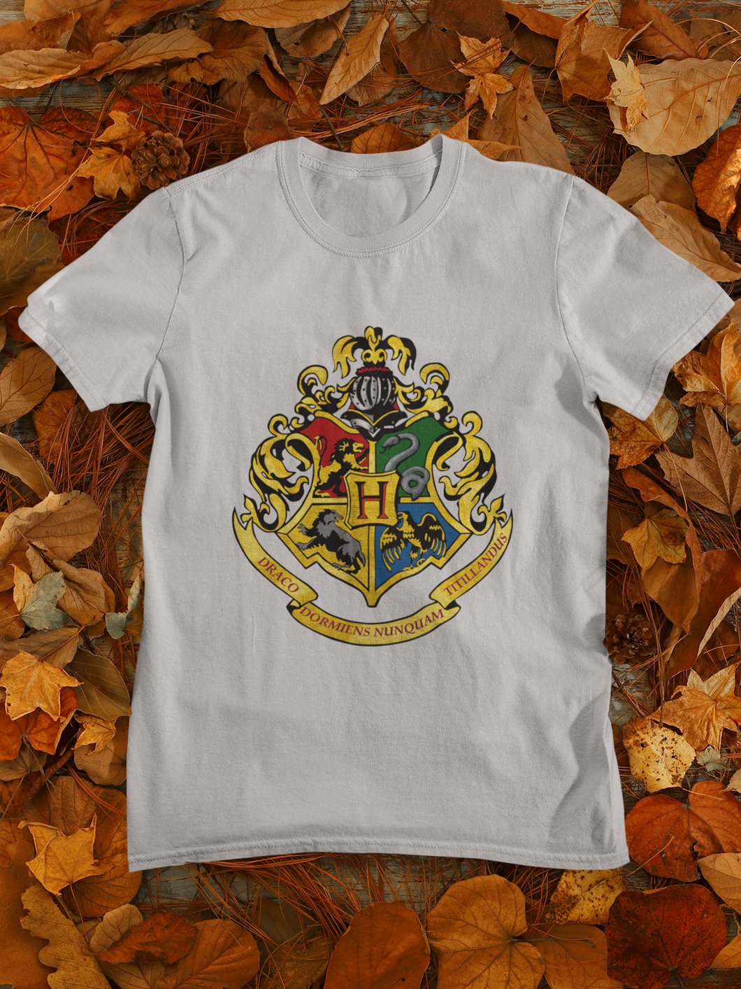 Harry Potter Web Series Women Half Sleeves T-shirt- KidsFashionVilla