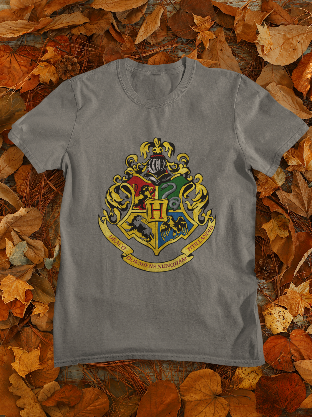 Harry Potter Web Series Mens Half Sleeves T-shirt- KidsFashionVilla