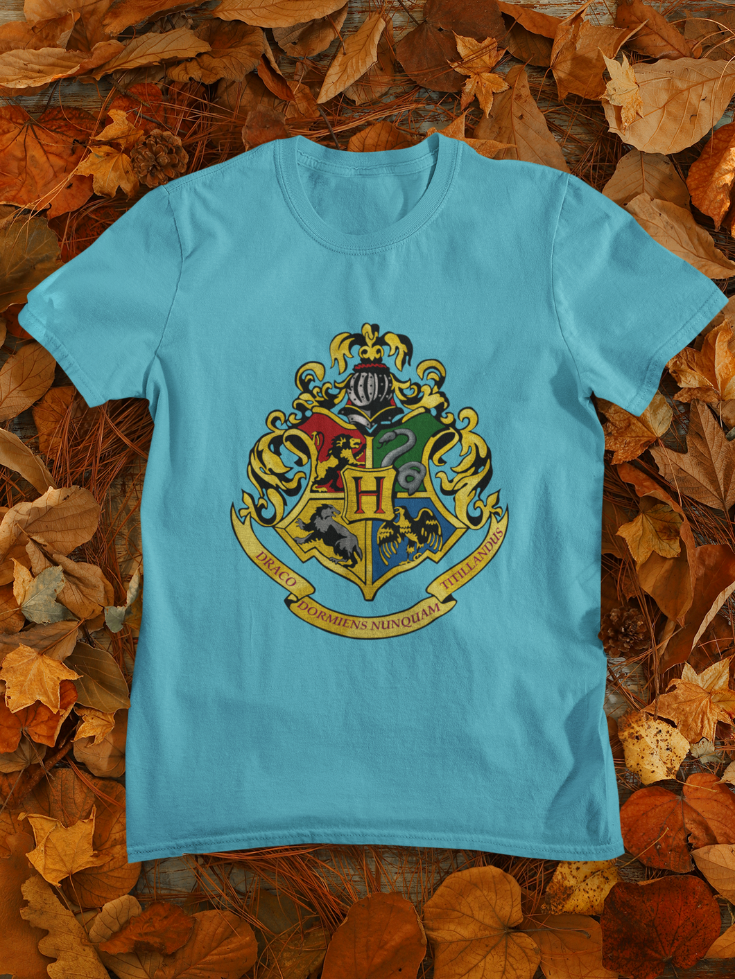 Harry Potter Web Series Mens Half Sleeves T-shirt- KidsFashionVilla