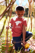 Load image into Gallery viewer, The North Remembers Web Series Half Sleeves T-Shirt for Boy-KidsFashionVilla
